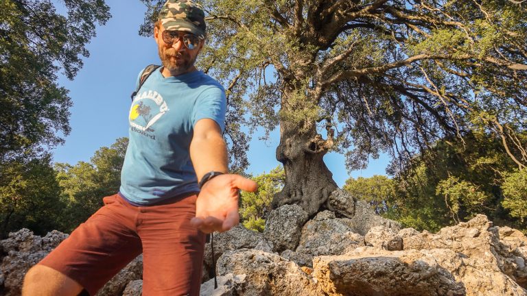 Atradimų žygiai Kretoje: ekskursijos ten, kur nebuvau
